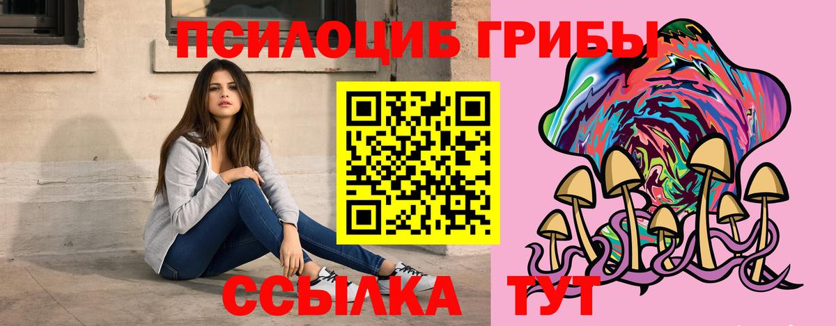 Волхов  купить  сайты  Вход с VPN  Псилоцибиновые грибы MAGIC MUSHROOMS  Галлюциногенные грибы Psilocybe 
